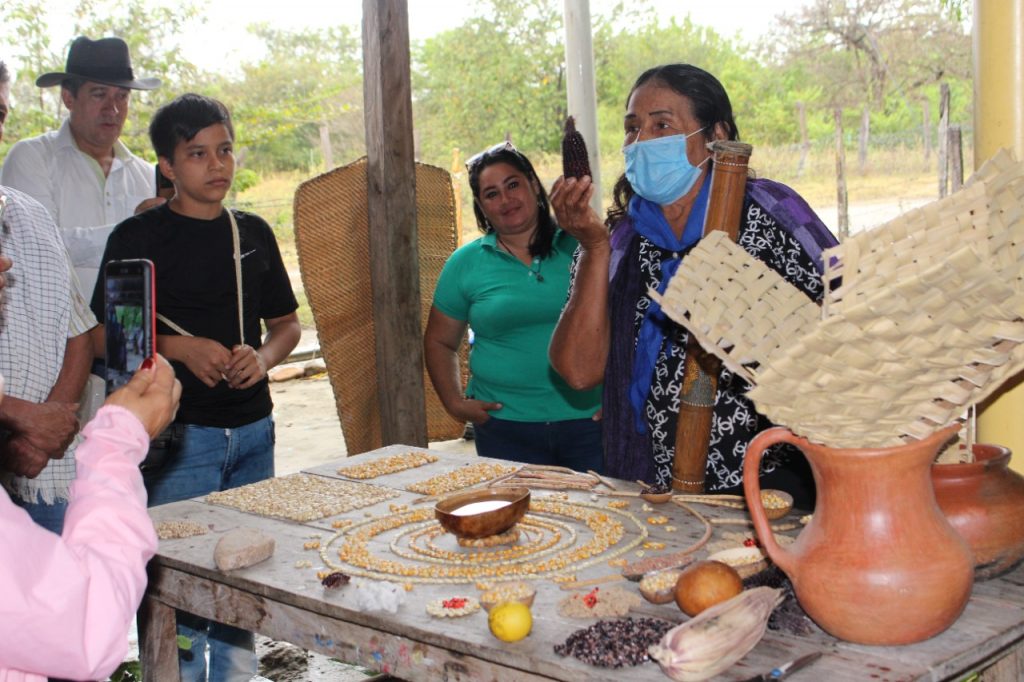 Claudina Loaiza describe las diversas semillas de maíz que han sido rescatadas en su banco de semillas