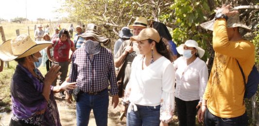 El proceso de desertificación se está frenando con la siembra de árboles y cultivos nativos