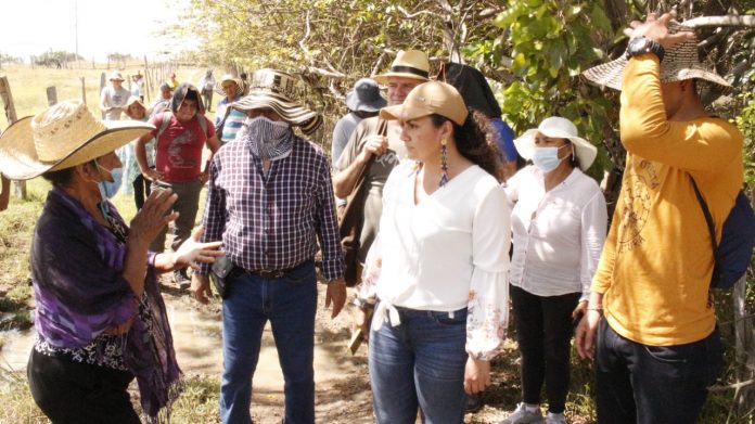El proceso de desertificación se está frenando con la siembra de árboles y cultivos nativos